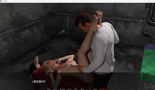 [欧美SLG/性暴力/机翻汉化/动态/步兵]高等社会画报/上等社会 v0.13 PC+安卓[3.9G/FM/百度]